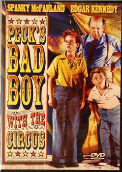 Peck's Bad Boy with the Circus观看