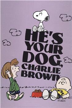 你的狗，查理·布朗观看