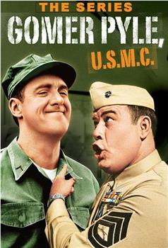 Gomer Pyle, U.S.M.C.观看