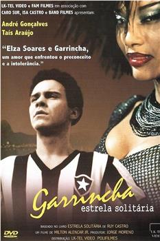 Garrincha - Estrela Solitária观看