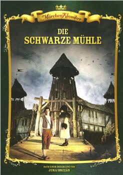 Die schwarze Mühle观看