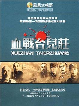 决胜：台儿庄战役70周年祭观看