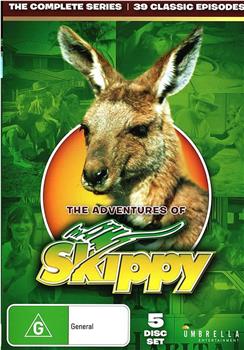 The Adventures of Skippy观看