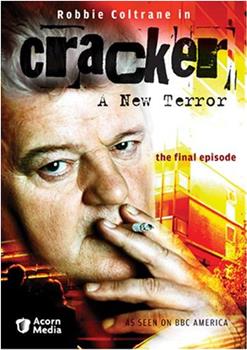 Cracker:  A New Terror观看