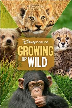 Growing Up Wild观看