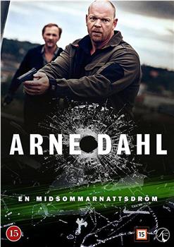 Arne Dahl: En midsommarnattsdröm观看