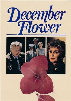 December Flower观看