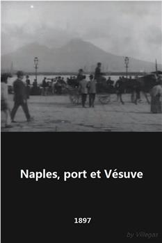 那不勒斯，港口与维苏威火山观看