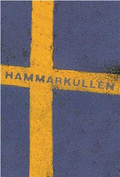 Hammarkullen观看