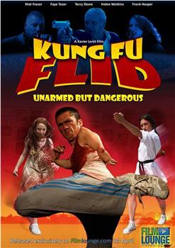 Kung Fu Flid观看