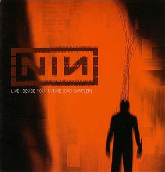 Nine Inch Nails ‎– Live: Beside You In Time观看