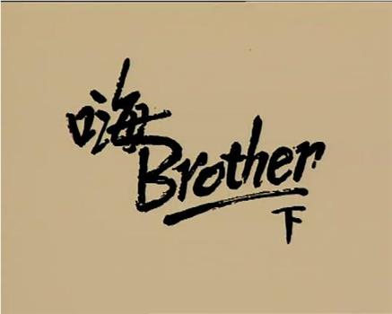 小說家族之嗨!BROTHER观看