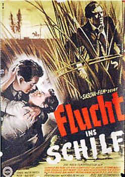 Flucht ins Schilf观看