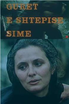 Gurët e shtëpisë sime观看