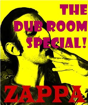 The Dub Room Special!观看