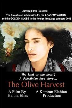 The Olive Harvest观看