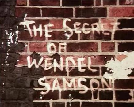 The Secret of Wendel Samson观看