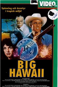 Big Hawaii观看