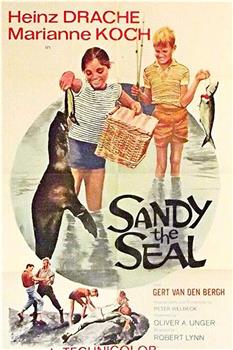 Sandy the Seal观看