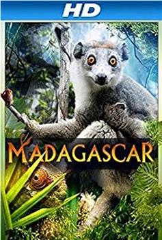 马达加斯加 3D观看