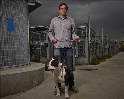 Louis Theroux's LA Stories: City of Dogs观看