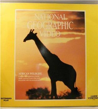 国家地理百年纪念典藏33:非洲野生动物观看
