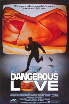 Dangerous Love观看