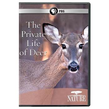 The Private Life of Deer Season 31观看