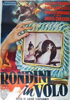 Rondini in volo观看