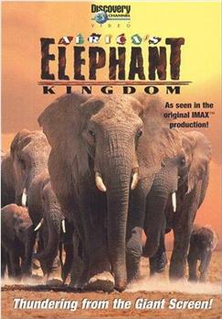 非洲大象王国观看