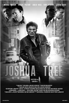 Joshua Tree观看
