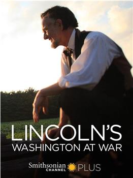 林肯的战时华盛顿观看