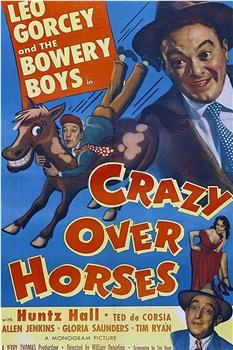 Crazy Over Horses观看