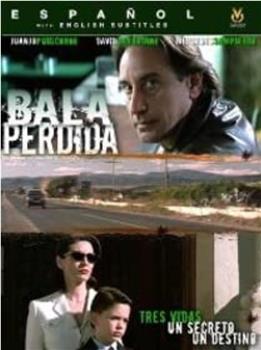 Bala perdida观看