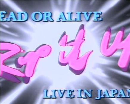 Dead Or Alive: Rip It Up Live观看