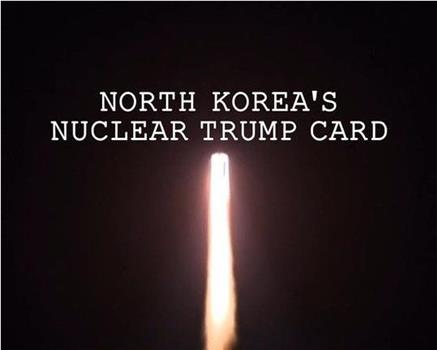 朝鲜核王牌观看