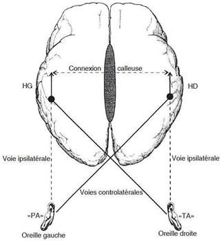 声音对视网膜相关性影响的实证研究观看