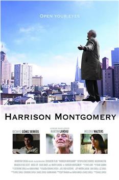 Harrison Montgomery观看