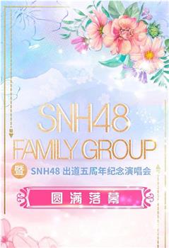 SNH48 FAMILY GROUP 暨 SNH48 出道五周年纪念演唱会观看
