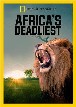 非洲致命动物观看