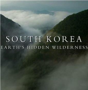 韩国：地球的隐秘荒野观看