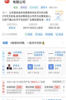 中国老板驾到 并购日企的400天观看