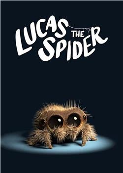 小蜘蛛卢卡斯观看