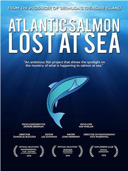 Atlantic Salmon: Lost at Sea观看