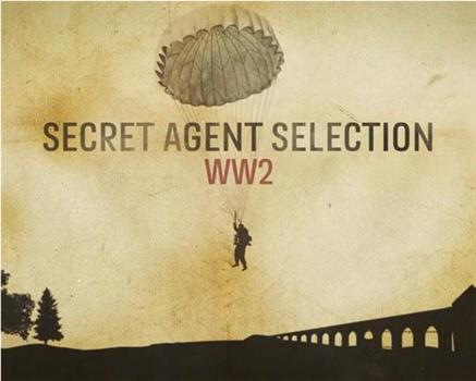 Secret Agent Selection: WW2观看