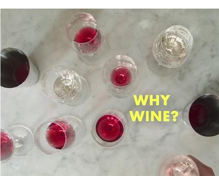 Why Wine?观看