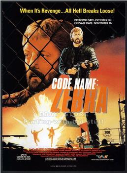 Code Name Zebra观看