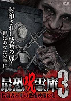 最恐呪霊庫3 投稿者不明の恐怖映像13集观看