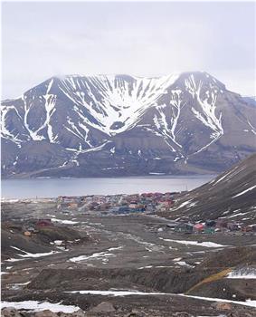 冰与火之歌-北极博物学科考全记录观看