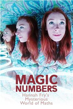 魔力数字：数学的奇妙世界 第一季观看